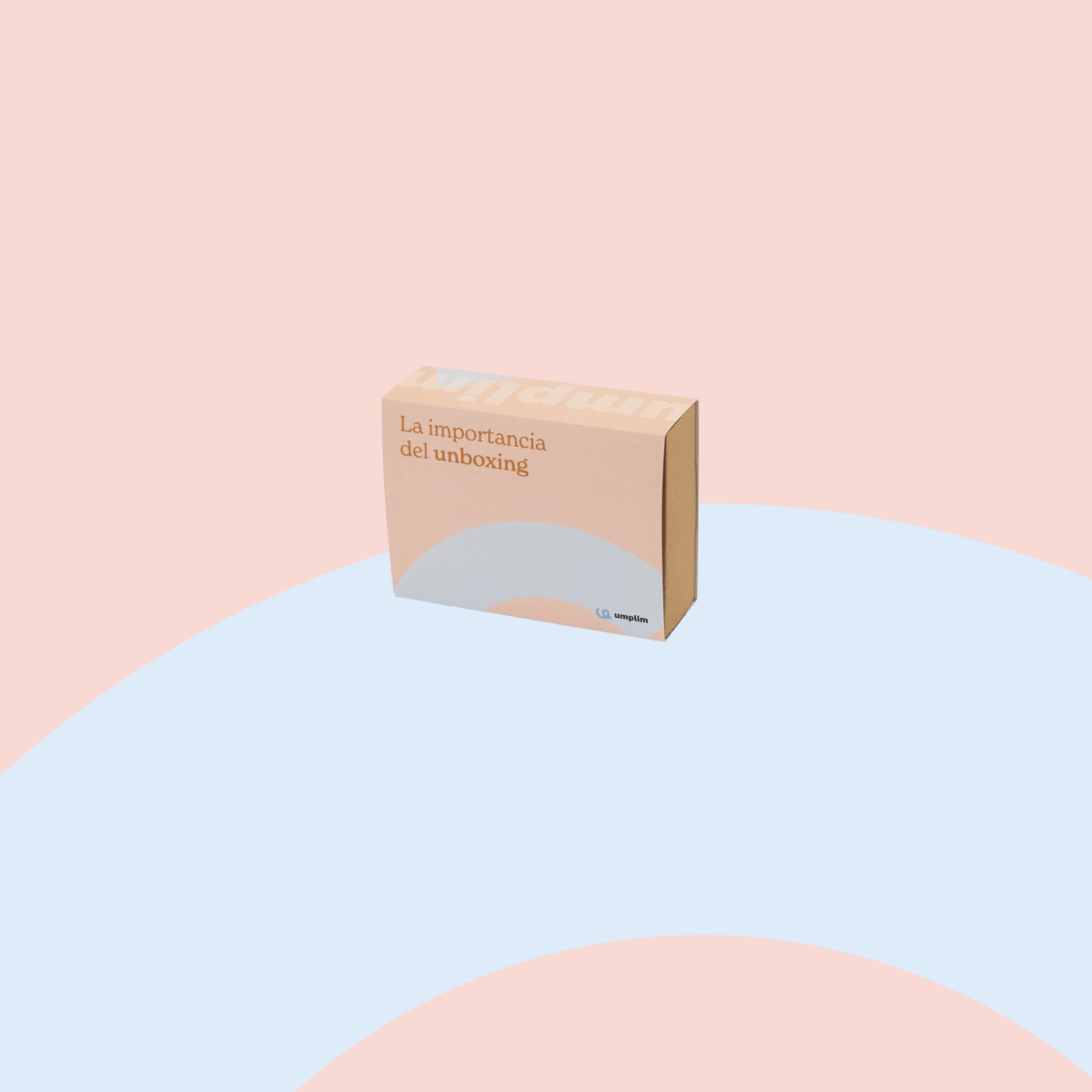 Fajas personalizadas para caja Mini