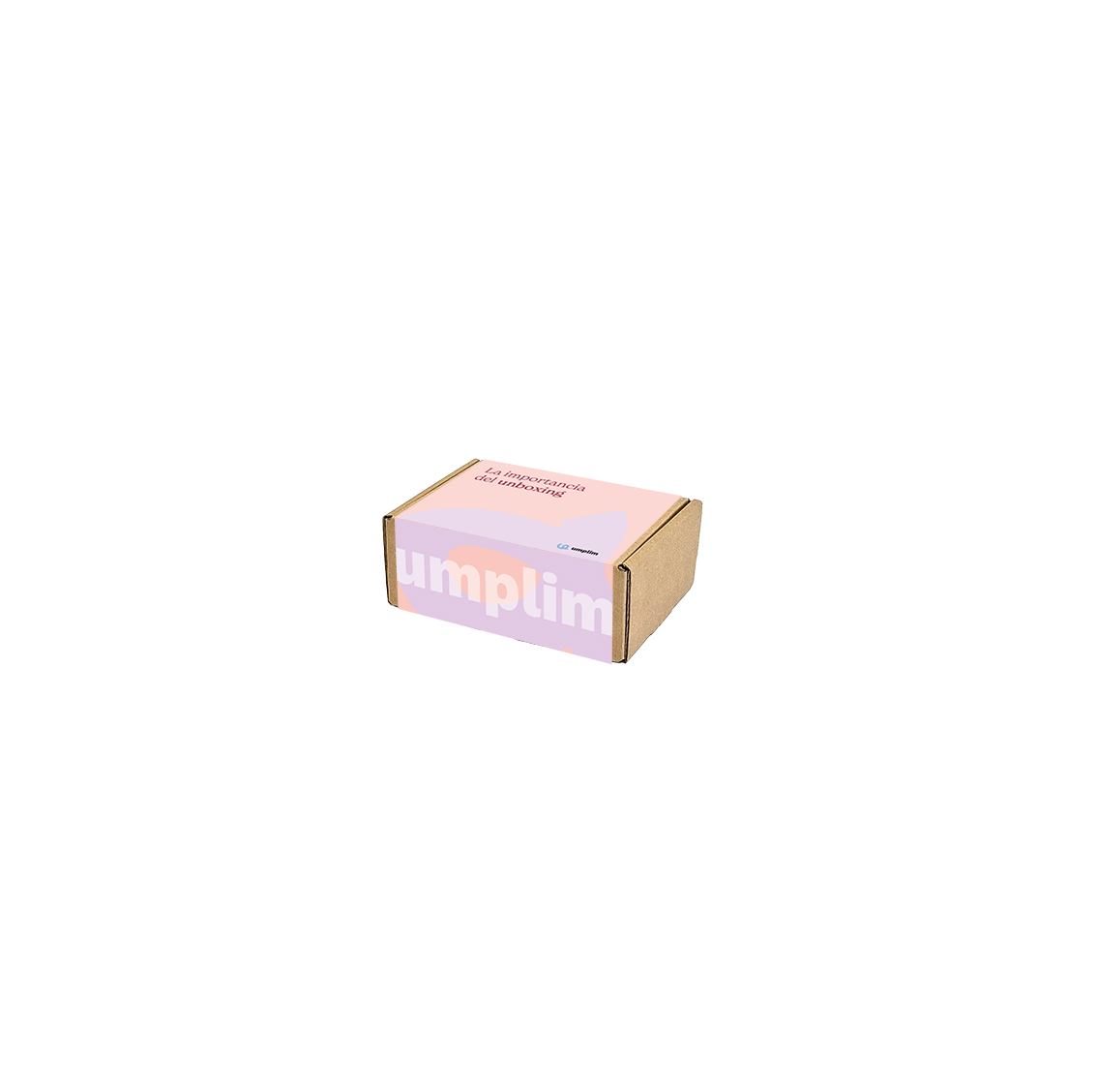 Fajas personalizadas para caja MICRO